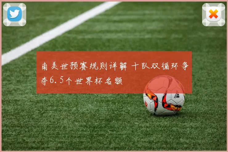 南美世预赛规则详解 十队双循环争夺6.5个世界杯名额