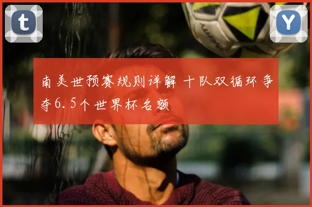 南美世预赛规则详解 十队双循环争夺6.5个世界杯名额