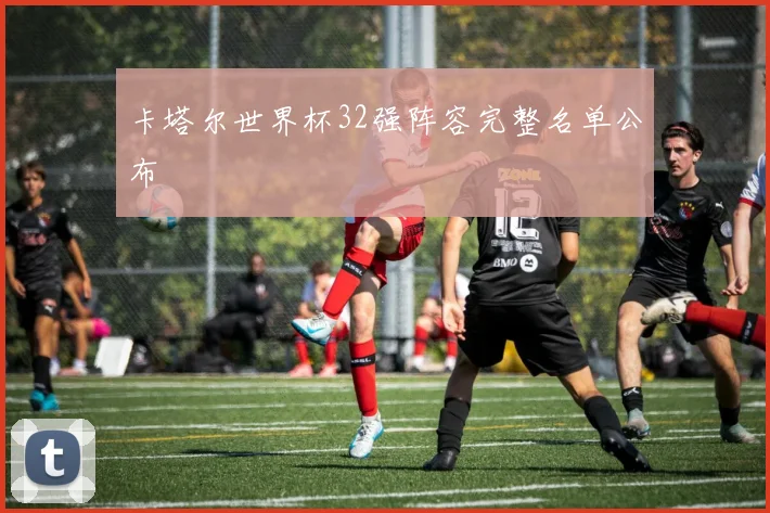 卡塔尔世界杯32强阵容完整名单公布