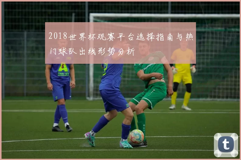 2018世界杯观赛平台选择指南与热门球队出线形势分析