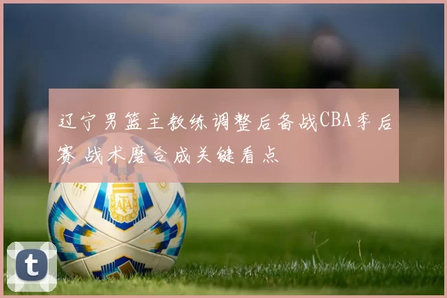 辽宁男篮主教练调整后备战CBA季后赛 战术磨合成关键看点
