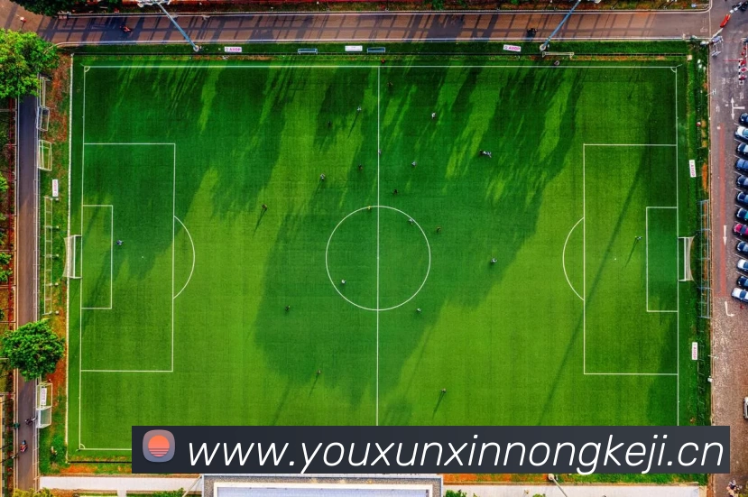 多媒体互动体验