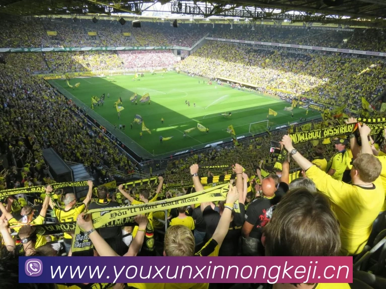 乐鱼·官方版网站登录入口 - 乐鱼leyu(中国)APP 体育赛事宣传图